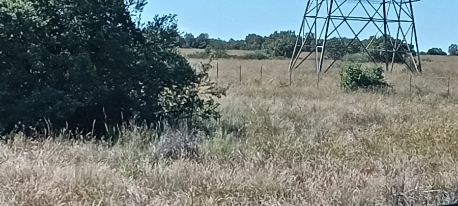 4 Bedroom Property for Sale in Ferreira Free State